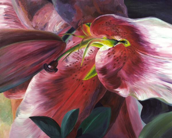 Painting of a Lily