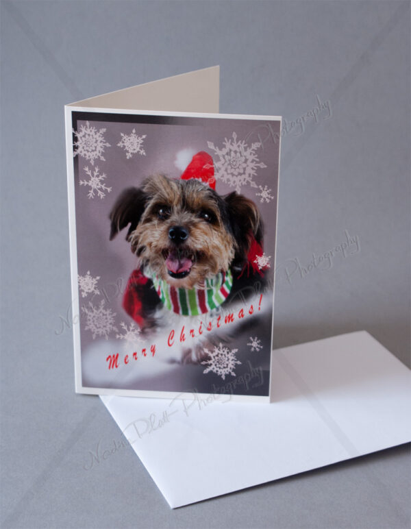 Christmas Greeting Card with a Dog